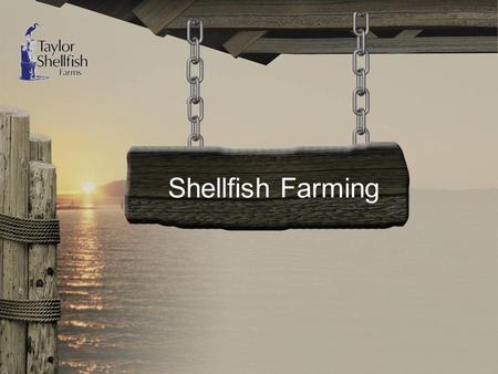 Shellfish Farming. Shellfish Farming “Our History”