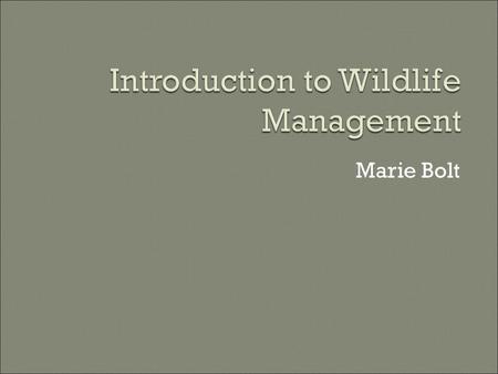 Marie Bolt.  Wildlife: free-ranging birds, mammals, amphibians, and reptiles Not all wild animals and plants Not fish Not just “game” species Not just.