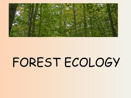 FOREST ECOLOGY. DELAWARE HAS 355,00 ACRES OF FORESTED LAND! Approx. 5,000 acres of timber are harvested annually. Delaware’s forest products industries.