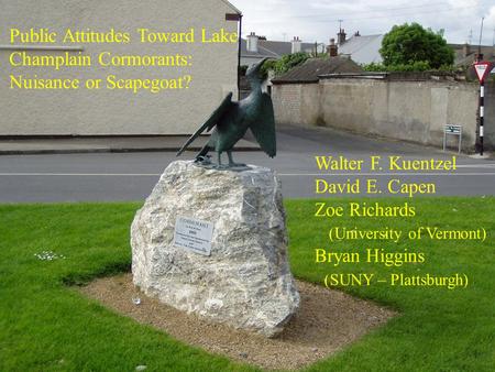 Public Attitudes Toward Lake Champlain Cormorants: Nuisance or Scapegoat? Walter F. Kuentzel David E. Capen Zoe Richards (University of Vermont) Bryan.