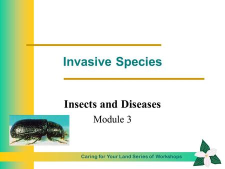 Caring for Your Land Series of Workshops 1 Invasive Species Insects and Diseases Module 3.