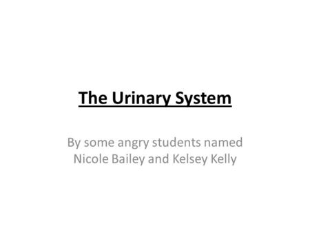 The Urinary System By some angry students named Nicole Bailey and Kelsey Kelly.