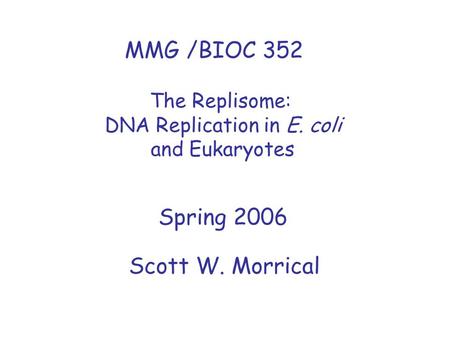 MMG /BIOC 352 Spring 2006 The Replisome: DNA Replication in E. coli and Eukaryotes Scott W. Morrical.