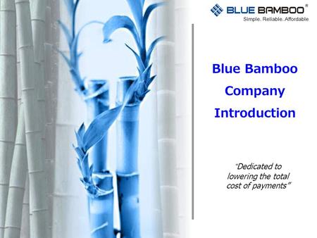 Blue Bamboo Company Introduction