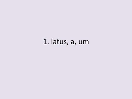 1. latus, a, um. wide, broad 2. excidium, -i destruction.