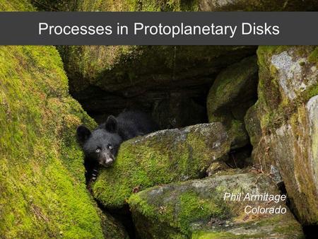 Processes in Protoplanetary Disks Phil Armitage Colorado.