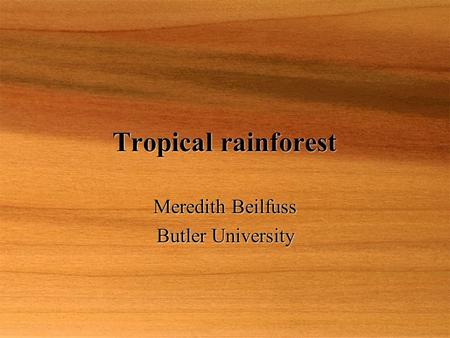 Tropical rainforest Meredith Beilfuss Butler University Meredith Beilfuss Butler University.