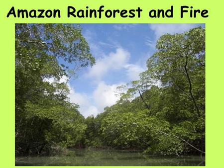 Amazon Rainforest and Fire. Tropical rainforests cover ~7 percent of land surface.