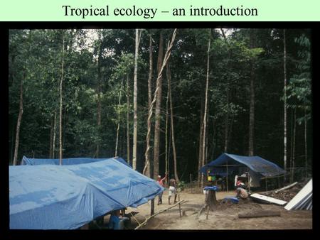 Tropical ecology – an introduction. Lectures: 1. What is special about the tropics abiotic and biotic characteristics of tropical ecosystems in comparison.