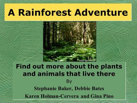 A Rainforest Adventure Find out more about the plants and animals that live there By Stephanie Baker, Debbie Bates Karen Holman-Cervera and Gina Pino.