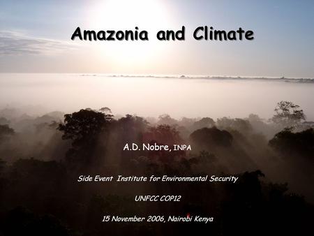 Amazonia and Climate A.D. Nobre, INPA Side Event Institute for Environmental Security UNFCC COP12 15 November 2006, Nairobi Kenya.