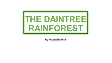 THE DAINTREE RAINFOREST