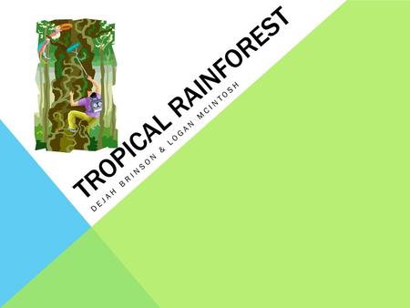 TROPICAL RAINFOREST DEJAH BRINSON & LOGAN MCINTOSH.