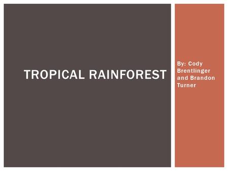 By: Cody Brentlinger and Brandon Turner TROPICAL RAINFOREST.