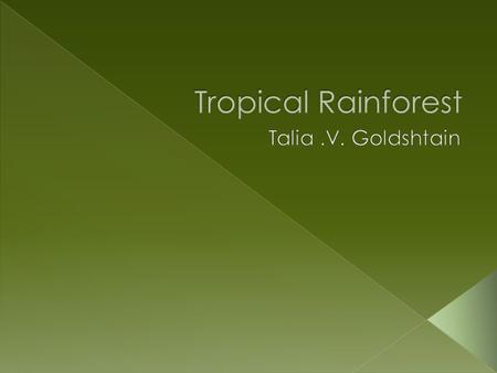  A rainforest can get 200 to 300 inches of rain a year.  There are trees that grows up to be 250 feet tall.  There is not much that grows on the.