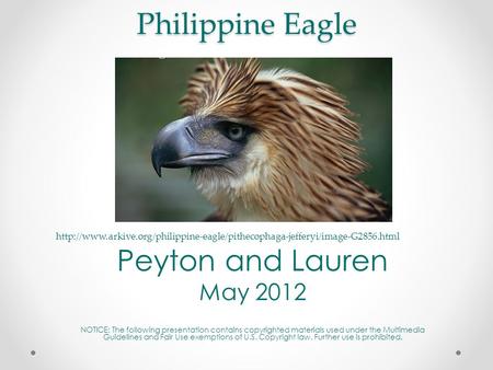 Philippine Eagle Peyton and Lauren May 2012 NOTICE: The following presentation contains copyrighted materials used under the Multimedia Guidelines and.