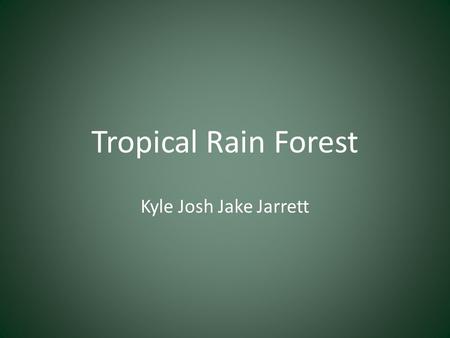 Tropical Rain Forest Kyle Josh Jake Jarrett.