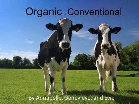 Organic vs. Conventional