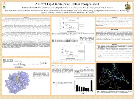 A Novel Lipid Inhibitor of Protein Phosphatase-1 Kathleen R. Perreault*, Brian Dembinski^, Jason T. Maynes*, Michael N. G. James*, Elena Posse de Chaves^,