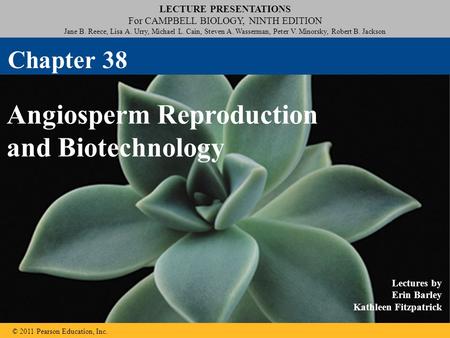 Angiosperm Reproduction and Biotechnology