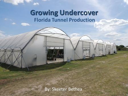 Florida Tunnel Production