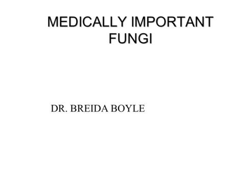 MEDICALLY IMPORTANT FUNGI