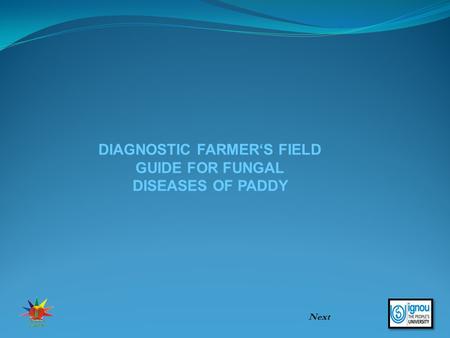 DIAGNOSTIC FARMER‘S FIELD