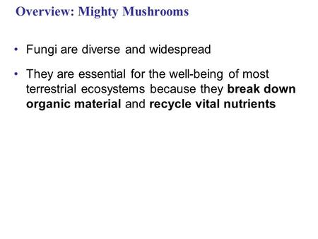 Overview: Mighty Mushrooms