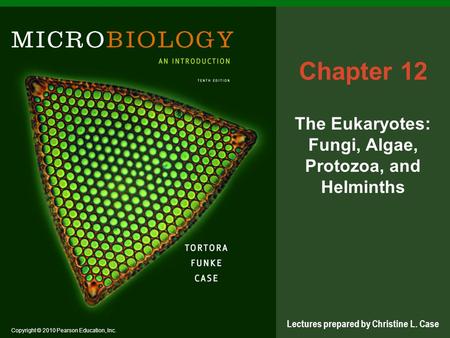 The Eukaryotes: Fungi, Algae, Protozoa, and Helminths