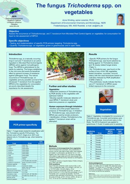 NERI National Environmental Research Institute University of Aarhus Denmark www.dmu.dk The fungus Trichoderma spp. on vegetables Anne Winding, senior scientist,