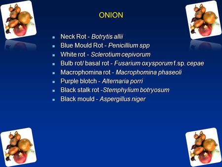 ONION Neck Rot - Botrytis allii Blue Mould Rot - Penicillium spp