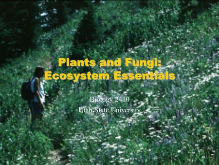 Plants and Fungi: Ecosystem Essentials Biology 2410 Utah State University.