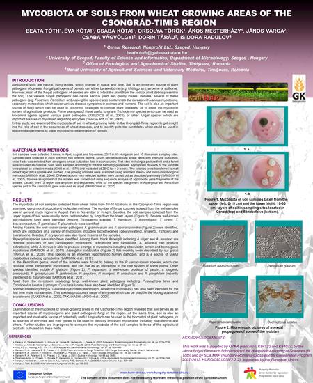 MYCOBIOTA OF SOILS FROM WHEAT GROWING AREAS OF THE CSONGRÁD-TIMIS REGION BEÁTA TÓTH 1, ÉVA KÓTAI 1, CSABA KÓTAI 1, ORSOLYA TÖRÖK 1, ÁKOS MESTERHÁZY 1,