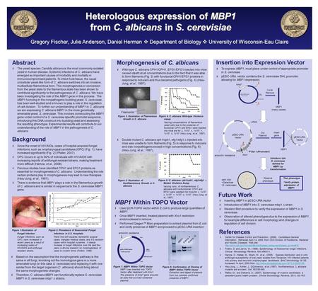 Abstract Background Gregory Fischer, Julie Anderson, Daniel Herman  Department of Biology  University of Wisconsin-Eau Claire The yeast species Candida.