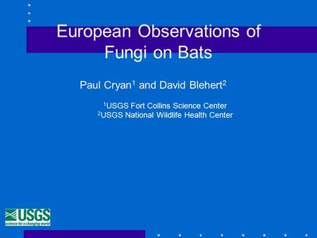 European Observations of Fungi on Bats Paul Cryan 1 and David Blehert 2 1 USGS Fort Collins Science Center 2 USGS National Wildlife Health Center.