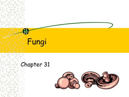 Fungi Chapter 31.