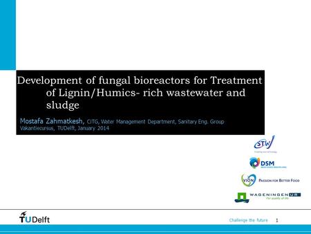 1 Challenge the future Development of fungal bioreactors for Treatment of Lignin/Humics- rich wastewater and sludge Mostafa Zahmatkesh, CiTG, Water Management.