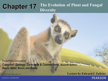 The Evolution of Plant and Fungal Diversity