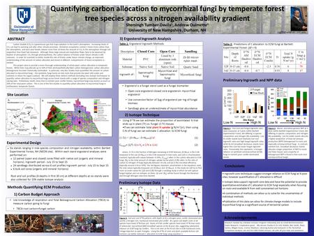 Quantifying carbon allocation to mycorrhizal fungi by temperate forest tree species across a nitrogen availability gradient Shersingh Tumber-Davila 1,