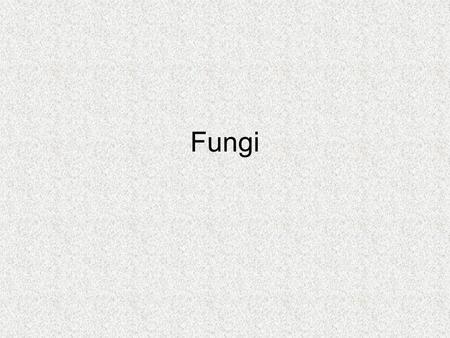 Fungi.