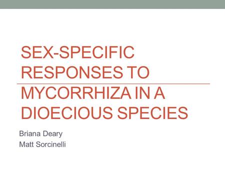 SEX-SPECIFIC RESPONSES TO MYCORRHIZA IN A DIOECIOUS SPECIES Briana Deary Matt Sorcinelli.