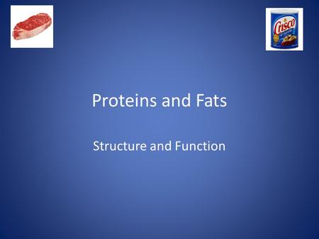 Proteins and Fats Structure and Function. Proteins and Fats What are some examples of protein?