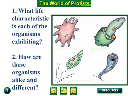 19.1 Section Objectives – page 503