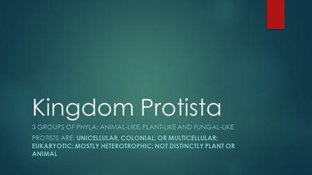 Kingdom Protista 3 GROUPS OF PHYLA: ANIMAL-LIKE, PLANT-LIKE AND FUNGAL-LIKE PROTISTS ARE: UNICELLULAR, COLONIAL, OR MULTICELLULAR; EUKARYOTIC; MOSTLY HETEROTROPHIC;