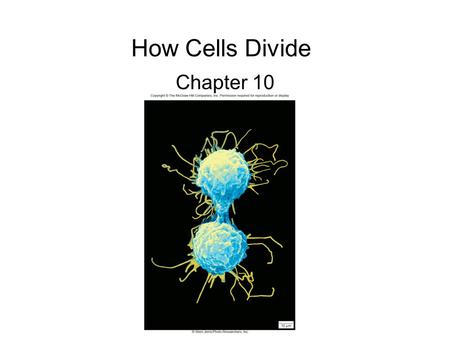 How Cells Divide Chapter 10.