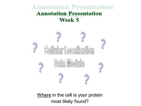 Where in the cell is your protein most likely found?