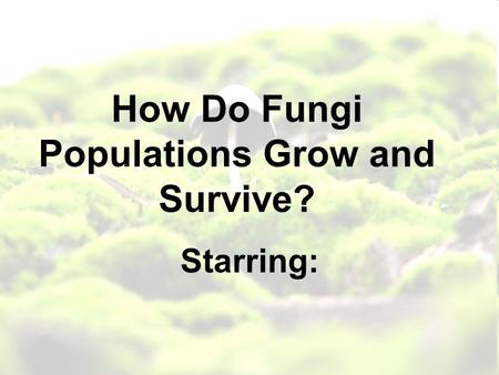 How Do Fungi Populations Grow and Survive? Starring: