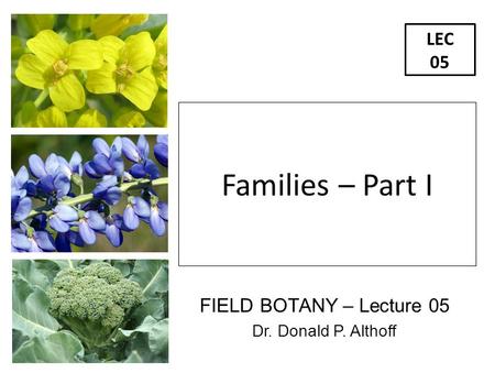 FIELD BOTANY – Lecture 05 Dr. Donald P. Althoff LEC 05 Families – Part I.