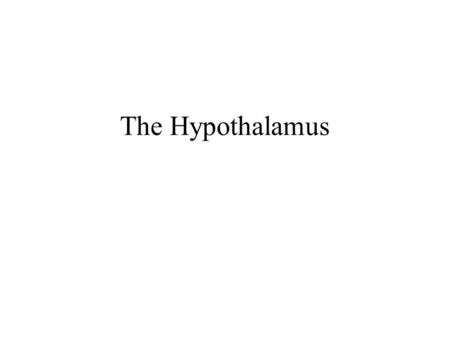 The Hypothalamus.