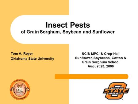 Insect Pests of Grain Sorghum, Soybean and Sunflower